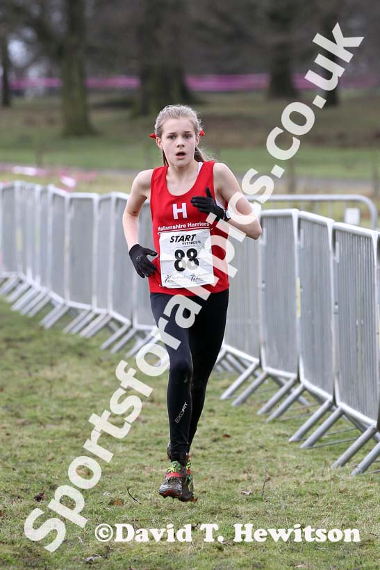No 88 Under-13 girls Northern Cross Country Champs, Knowsley Safari Park. Photo: David T. Hewitson/Sports for All Pics